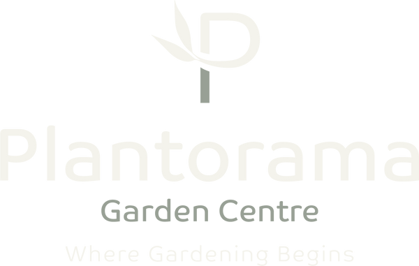 Plantorama Garden Centre